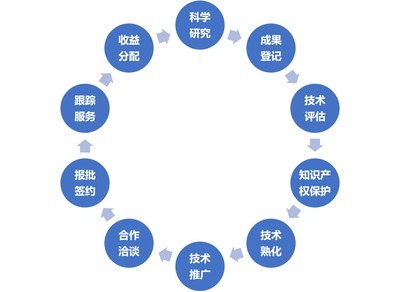 技術(shù)轉(zhuǎn)移、技術(shù)服務(wù)與技術(shù)推廣 驅(qū)動創(chuàng)新的三駕馬車